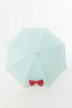 セーラージュピターモデル (c)武内直子・PNP・講談社・東映アニメーション