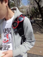 亀仙人のサングラス着用例 (c)バードスタジオ/集英社・フジテレビ・東映アニメーション