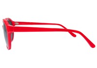 亀仙人のサングラス (c)バードスタジオ/集英社・フジテレビ・東映アニメーション