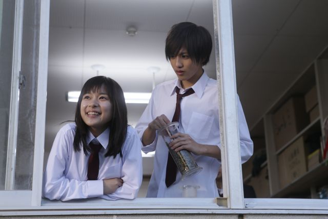 定期入れの 映画 先輩と彼女 メモリアルフォト Dvd 邦画 Slcp Lk