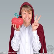 「The Devil Fruit オペオペの実」(c)尾田栄一郎／集英社・フジテレビ・東映アニメーション