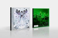 「『Z』の誓い」の「F」盤立体図。