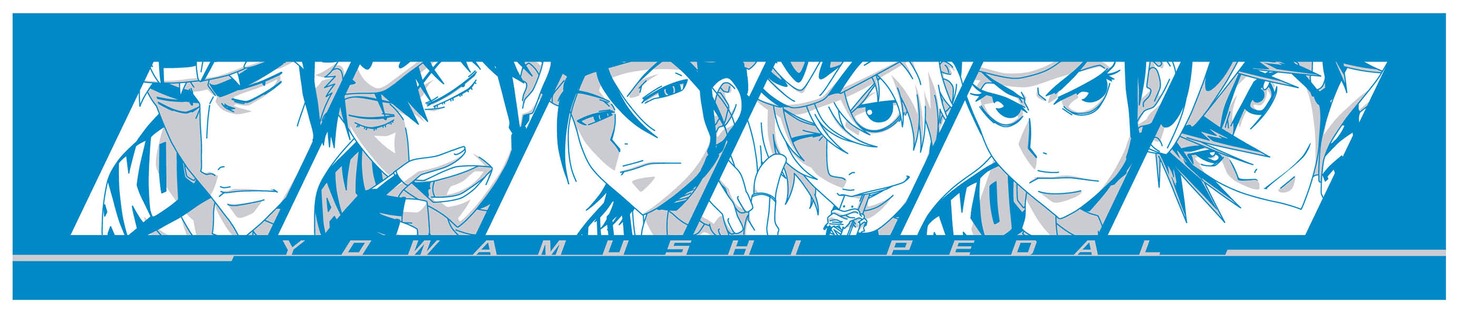 F賞：マフラータオルの箱根学園バージョン。(C)渡辺航（週刊少年チャンピオン）／弱虫ペダルGR製作委員会