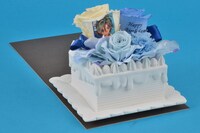 弱虫ペダルグッズ プレミアムライン オリジナルBirthdayフォトローズ [真波山岳]