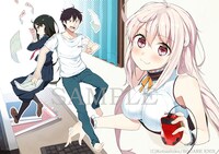 コバシコ「壁にメリー.com」カット