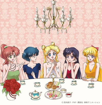 インタビューに応じてくれたセーラー戦士たち。