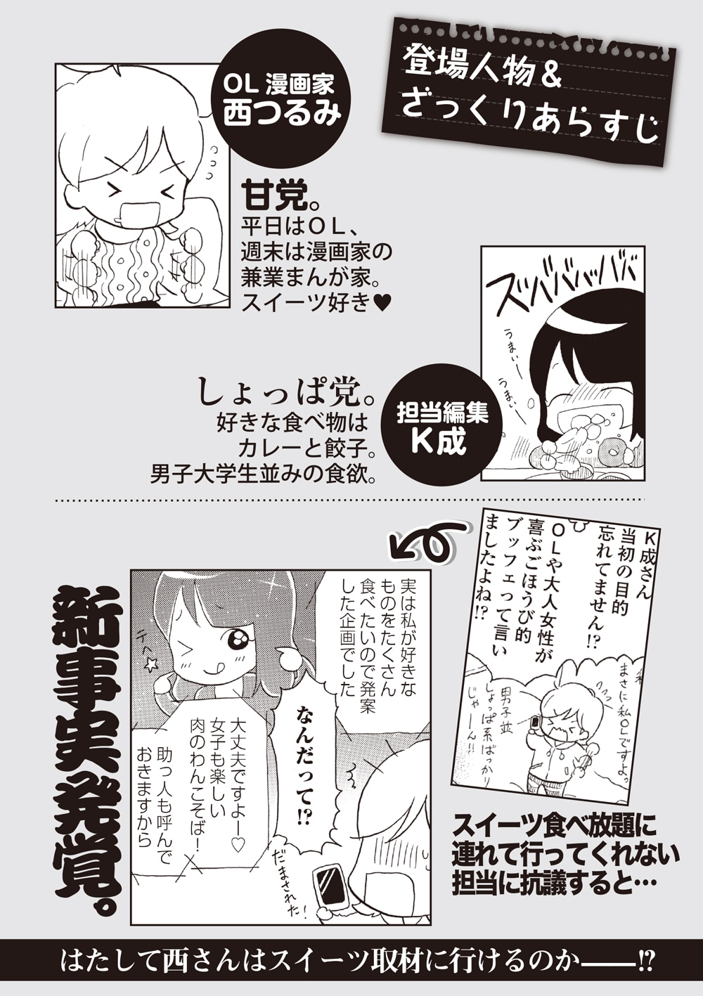 試し読み用小冊子より、あらすじページ。