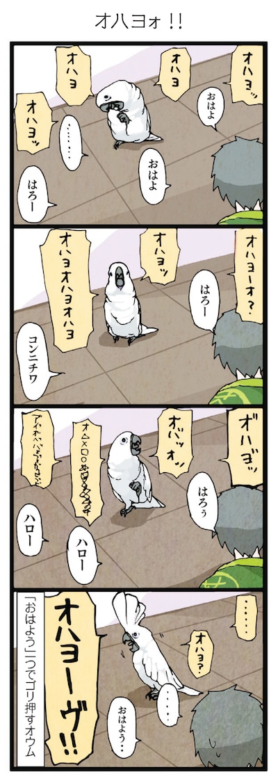 「いたずらオウムの生活雑記」より。