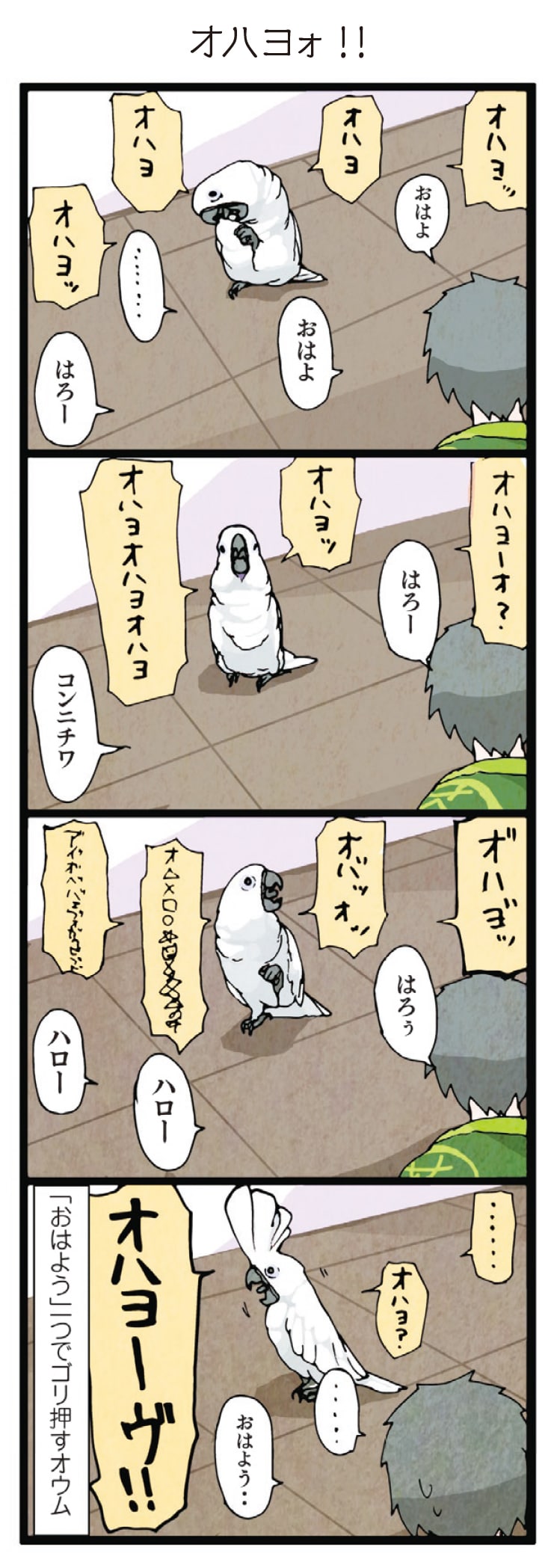 オウムの飼い主が描くペットエッセイ いたずらオウムの生活雑記 コミックナタリー