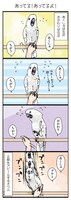 「いたずらオウムの生活雑記」より。