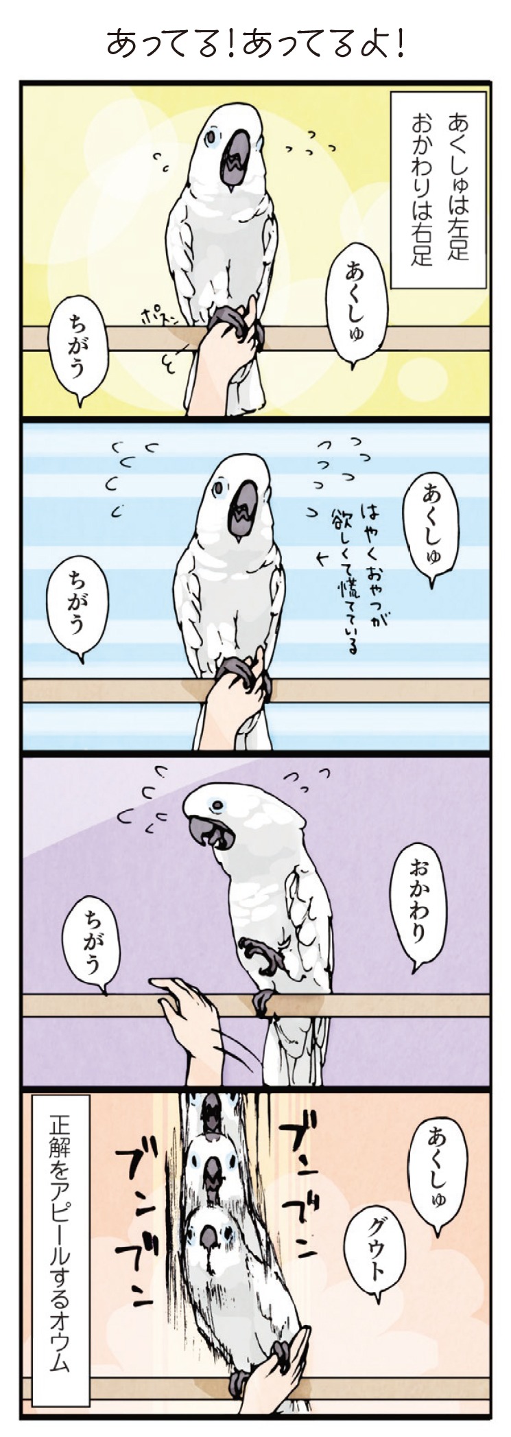 「いたずらオウムの生活雑記」より。