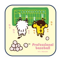 ミニタオルの1種。(c)S.L. (c)kanahei