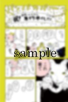 「部長はオネエ」とらのあなの特典。