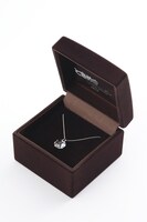 「愛良のお守りペンダント」オリジナルボックス  (c)池野恋／集英社・りぼん