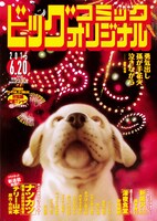ビッグコミックオリジナル2015年12号