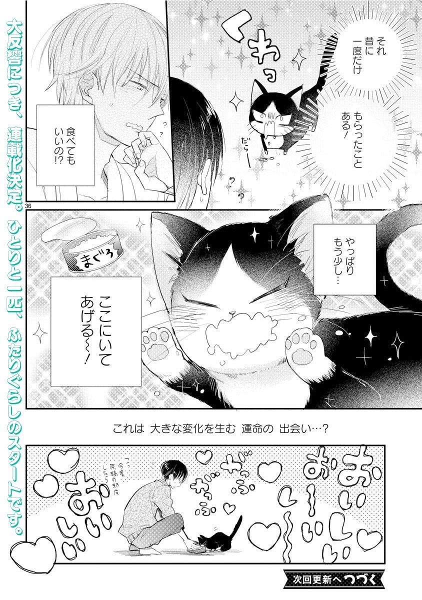 「同居人はひざ、時々、頭のうえ。」第1話より。