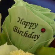 弱虫ペダルグッズ プレミアムライン オリジナルBirthdayフォトローズ [巻島裕介]