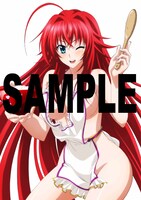 月刊ドラゴンエイジ7月号付録のポスターは両面仕様。画像はアニメ放送中の「ハイスクールD×D」。