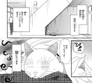 楢崎壮太「ねこねこハニー」より。