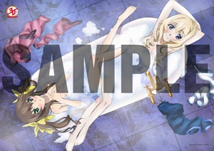 「IS＜インフィニット・ストラトス＞10色刷り額装イラスト」(c)Izuru Yumizuru, OVERLAP/Project IS