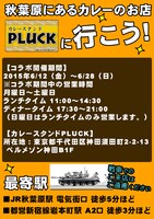 「エルフを狩るモノたち2」×「カレースタンドPLUCK」コラボの告知画像。