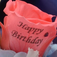 弱虫ペダルグッズ プレミアムライン オリジナルBirthdayフォトローズ [新開隼人]