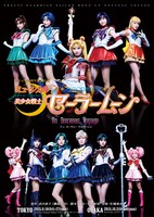 ミュージカル「美少女戦士セーラームーン-Un Nouveau Voyage-」のチラシ。(c) Naoko Takeuchi (c) 武内直子・PNP／ミュージカル「美少女戦士セーラームーン」製作委員会2015