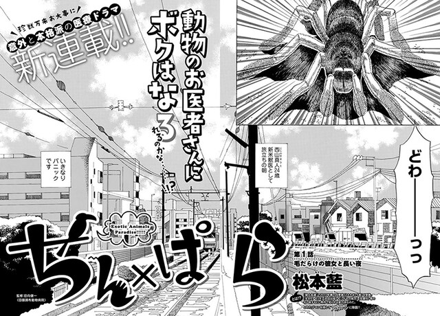 「ちん×ぱら」の扉ページ。