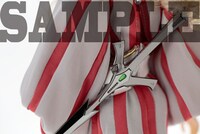 「momoko CHRISTINE-V」momokoTM (c)PetWORKs Co., Ltd.(c)EDIT