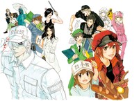 「はたらく細胞」のカラーイラスト。 (c)清水茜／講談社