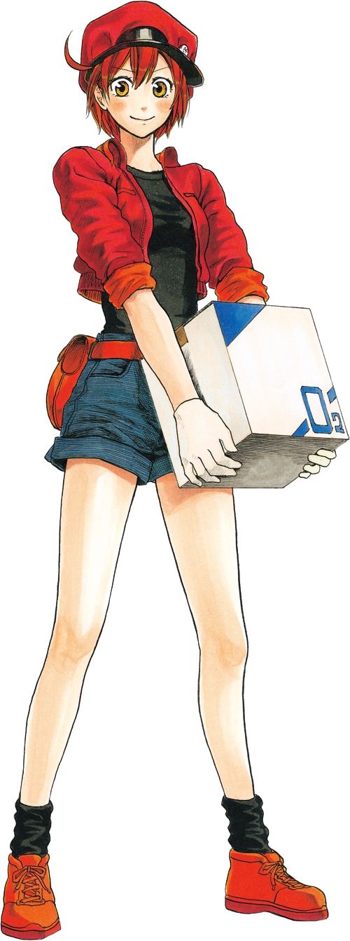 「はたらく細胞」の赤血球。 (c)清水茜／講談社