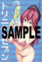 月刊ドラゴンエイジ8月号付録の下敷き。裏面では水着に変化が……。