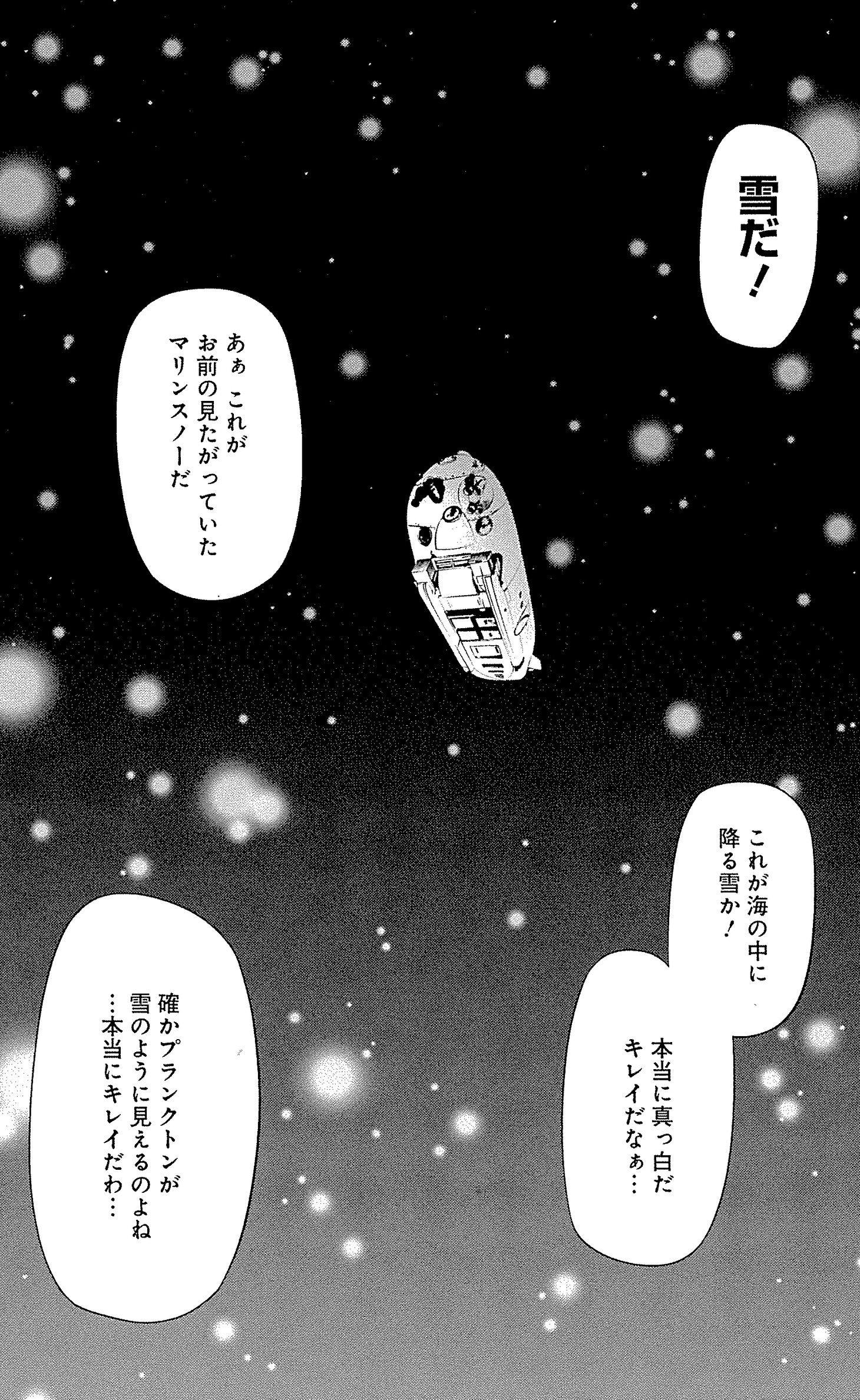 「SHINKAI」より。