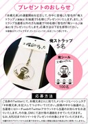 プレゼントの詳細。