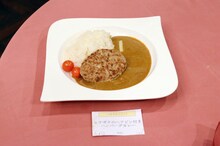 「ハヤテのごとく！ ヒナギクのヘアピン付きハンバーグカレー」(c)畑健二郎／小学館