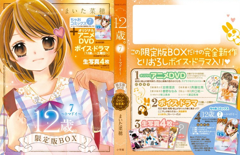 限定版BOXのカバー。