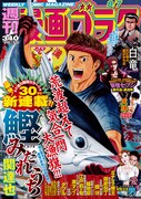週刊漫画ゴラク8月7日号