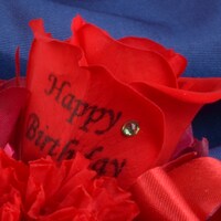 「弱虫ペダルグッズ プレミアムライン オリジナルBirthdayフォトローズ [鳴子章吉]」