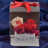 「弱虫ペダルグッズ プレミアムライン オリジナルBirthdayフォトローズ [鳴子章吉]」