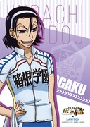 クリアファイルの柄。(c)渡辺航(週刊少年チャンピオン)/劇場版弱虫ペダル製作委員会