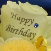 弱虫ペダルグッズ プレミアムライン オリジナルBirthdayフォトローズ [手嶋純太]