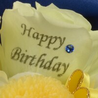 弱虫ペダルグッズ プレミアムライン オリジナルBirthdayフォトローズ [手嶋純太]