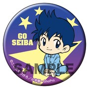 「爆走兄弟レッツ＆ゴー!!」の「アニ☆カプ」の1種。