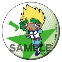 「爆走兄弟レッツ＆ゴー!!」の「アニ☆カプ」の1種。