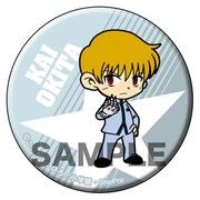 「爆走兄弟レッツ＆ゴー!!」の「アニ☆カプ」の1種。