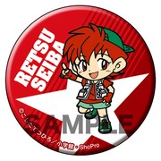 「爆走兄弟レッツ＆ゴー!!」の「アニ☆カプ」の1種。