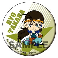 「爆走兄弟レッツ＆ゴー!!」の「アニ☆カプ」の1種。