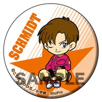 「爆走兄弟レッツ＆ゴー!!」の「アニ☆カプ」の1種。