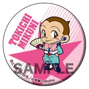 「爆走兄弟レッツ＆ゴー!!」の「アニ☆カプ」の1種。