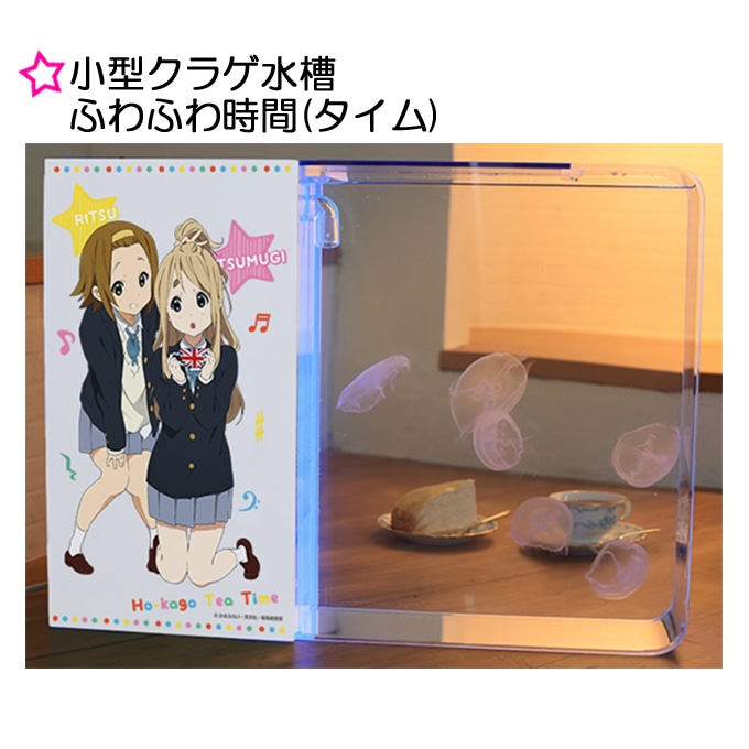 小型クラゲ水槽 ふわふわ時間（タイム）